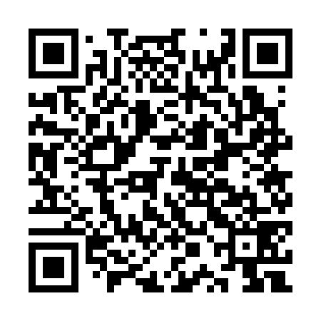 QR code for KPG379