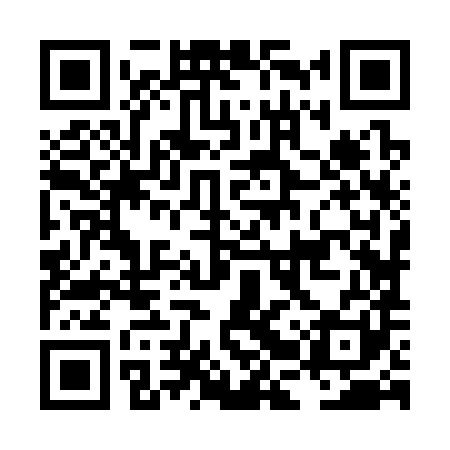 QR code for LBZ381