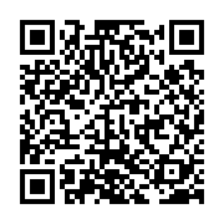 QR code for LDG729