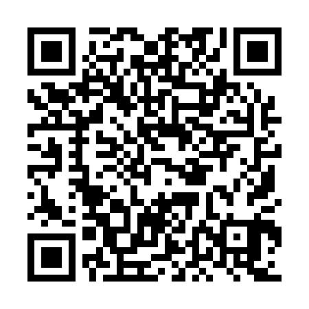 QR code for LDI101