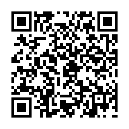 QR code for LDL381