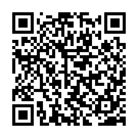 QR code for LDV374