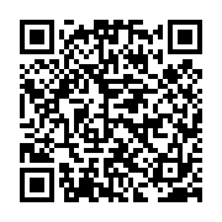 QR code for LDV433