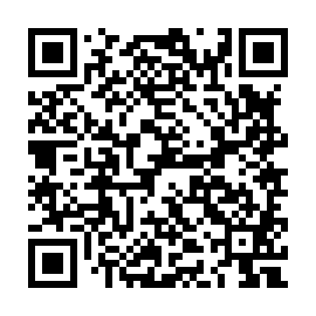 QR code for LDZ881
