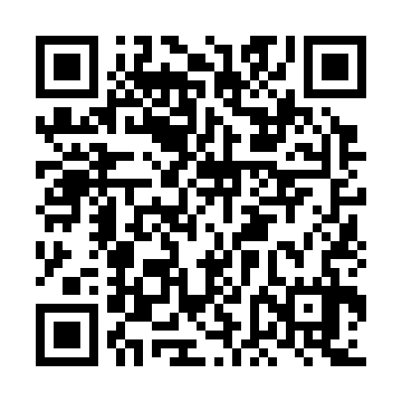 QR code for LFN337