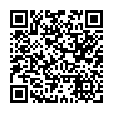 QR code for LFR386
