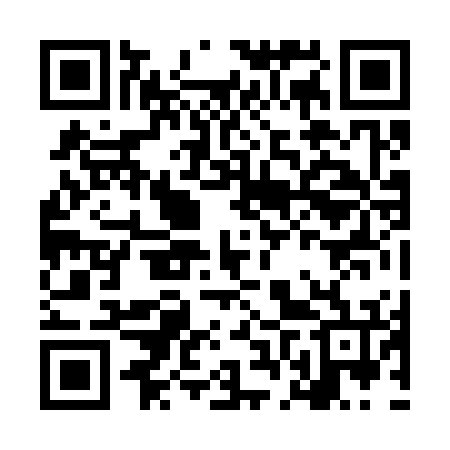 QR code for LFZ376