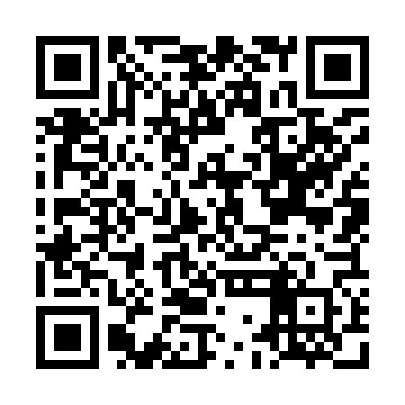 QR code for LGO960
