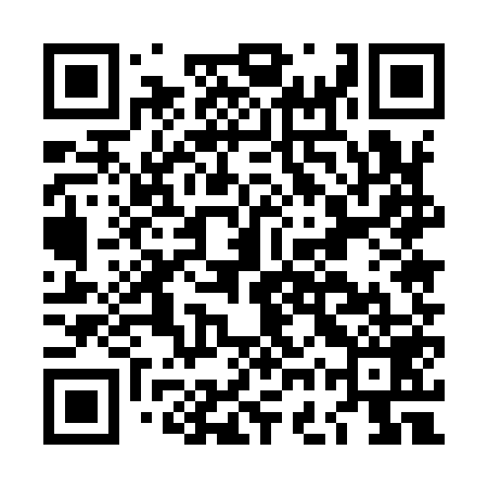QR code for LGU959