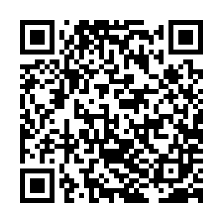 QR code for LHD383