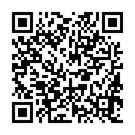QR code for LIE594