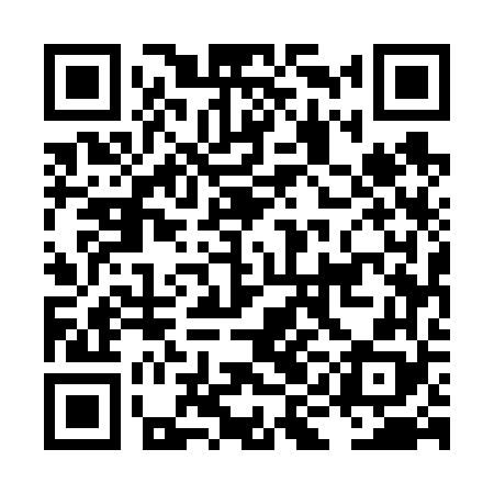 QR code for LIE668
