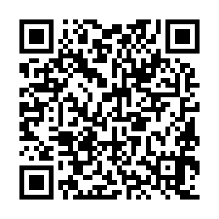 QR code for LIE995