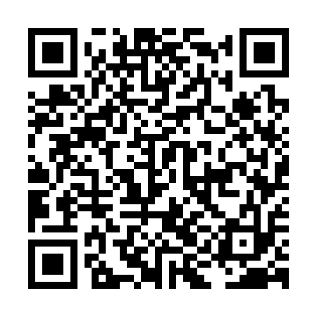 QR code for LIG313