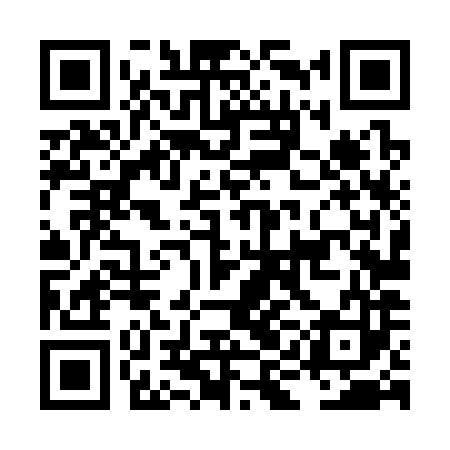 QR code for LIL383