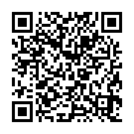QR code for LIS133