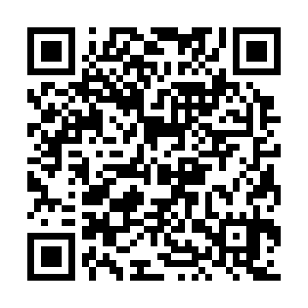 QR code for LIS335