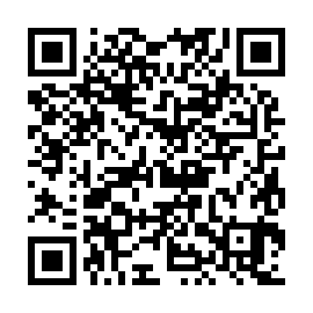 QR code for LIS981