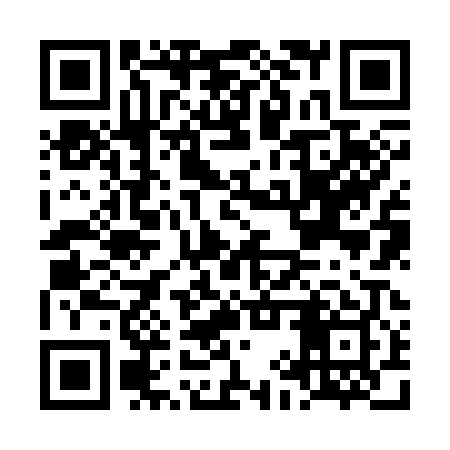QR code for LIZ309