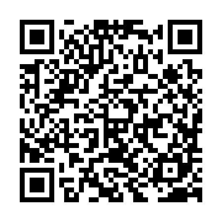 QR code for LIZ385