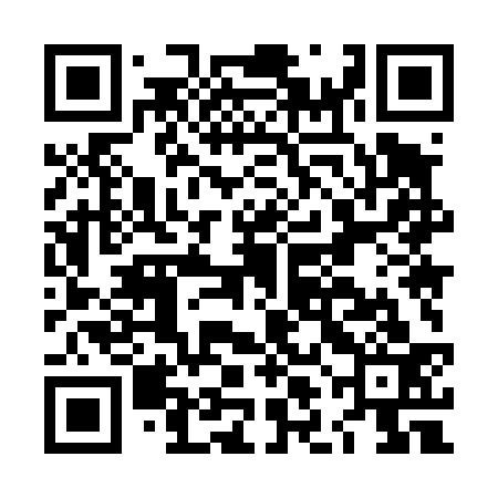 QR code for LLM433