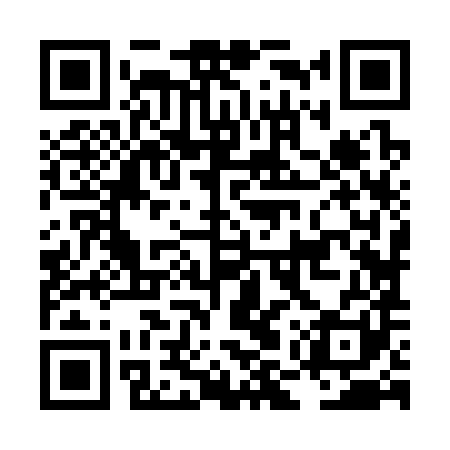 QR code for LMZ381