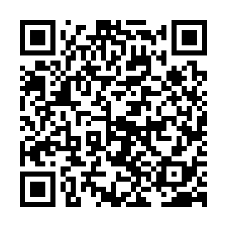 QR code for LNF338