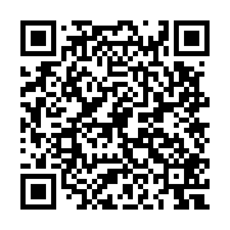 QR code for LOO509