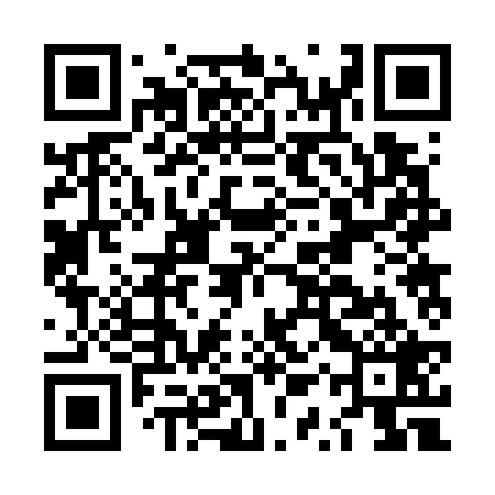QR code for LQR729