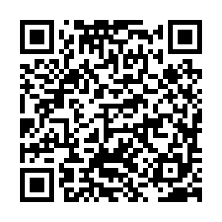 QR code for LQZ295