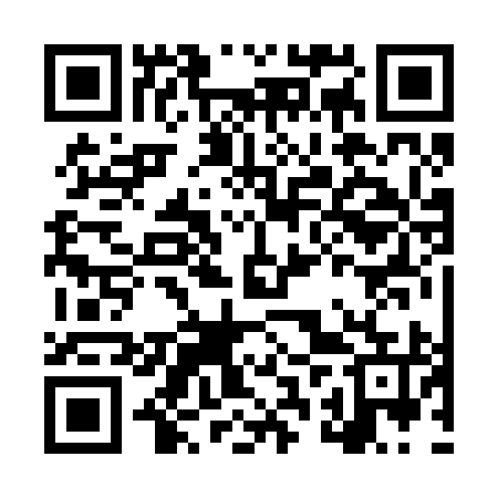 QR code for LRR295