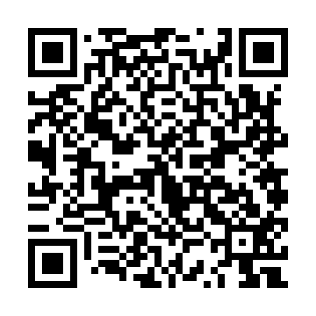 QR code for LSF913
