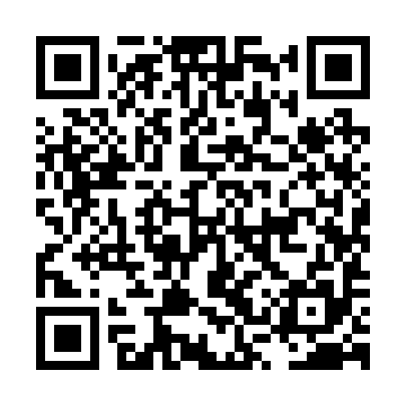 QR code for LSY295