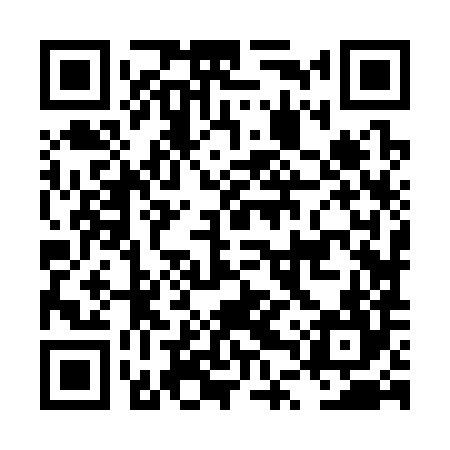 QR code for LTZ384