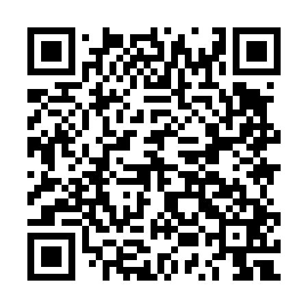 QR code for LUI441