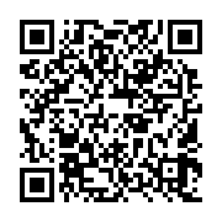 QR code for LUM349
