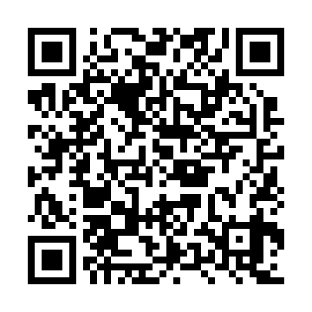 QR code for LUN239