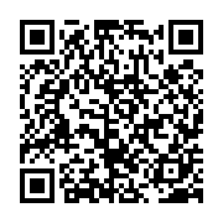 QR code for LUN500