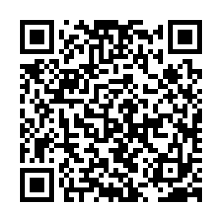 QR code for LUR333