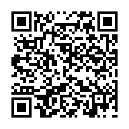 QR code for LUT382