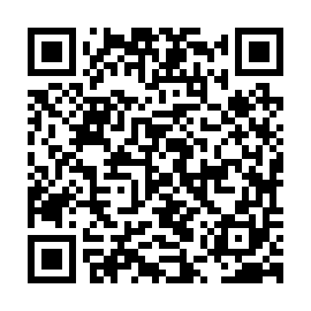 QR code for LUZ250