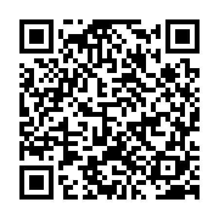 QR code for LVO368