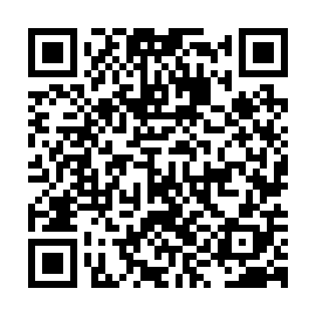 QR code for LYN208