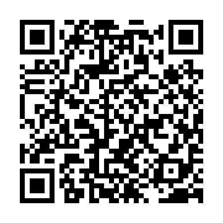 QR code for LYU298