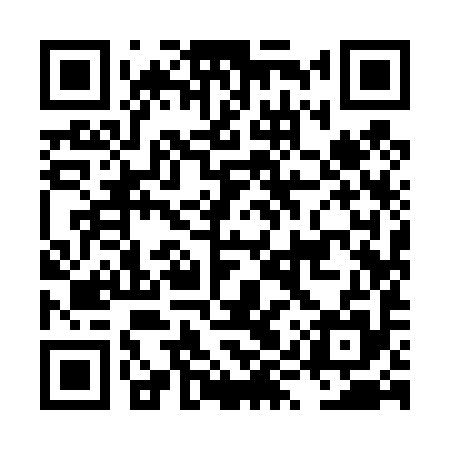 QR code for LYY495