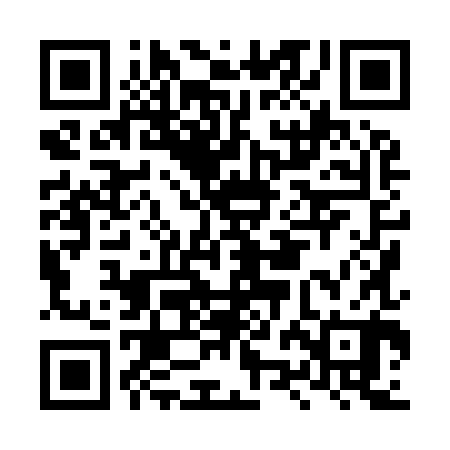 QR code for LZH980