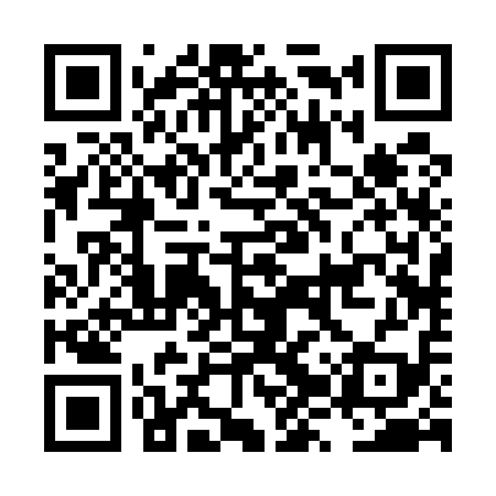 QR code for LZR519