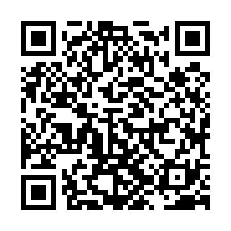 QR code for LZZ531