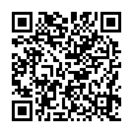 QR code for MAX375