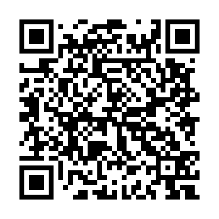 QR code for MAX533